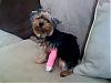 Pics of maggie with her cast-photo1.jpg