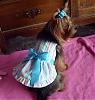 I Just Love This Dress!-dog-show-dress2.jpg