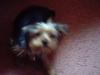 Some Cute Pictures....-cute-pics-tucker-005.jpg