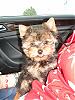 My new baby boy!!!-dsc02836-vi.jpg