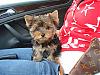 My new baby boy!!!-dsc02849-vi.jpg