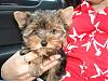 My new baby boy!!!-dsc02881-vi.jpg