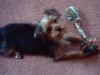Some Cute Pictures....-cute-pics-tucker-002.jpg