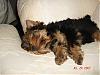 My new baby boy!!!-dsc03233-vi.jpg