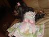 ♥Momma Lilly In Her Go.Fetch Birthday Dress♥-my-camera-1769.jpg