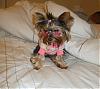 Tinker and her new gear from TinkerBells closet-s8002046.jpg