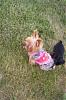 Chloe and Codys first time outside 5 weeks.-withmommayt.jpg