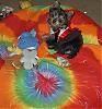 Penny's baby pictures-dogs-059.jpg