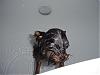 Bathtime-dsc00748.jpg