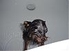 Bathtime-dsc00748.jpg