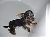 Bathtime-dsc00749.jpg