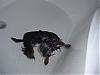 Bathtime-dsc00750.jpg