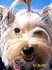 Chloe's first time on the boat!-102_2416.jpg