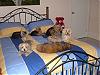where is mom and dad going to sleep at?-picture-1153.jpg