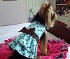 Lacy's First Chloe Bella Dress!-chloe-bella2.jpg