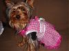 Sissy & Angel Fashion Show!!!-angelsassypup.jpg
