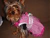 Sissy & Angel Fashion Show!!!-angelsassypup.jpg