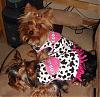 Sissy & Angel Fashion Show!!!-cowgirls.jpg