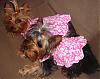 Sissy & Angel Fashion Show!!!-pink-hawaiian.jpg