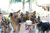 Kylee's 1st Birthday Party!!!-aug-001_sm.jpg