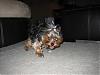 For Sarah: pictures of little Maya-high-speed.jpg