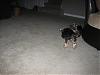 For Sarah: pictures of little Maya-playing3.jpg