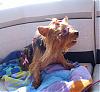 Lacy's Trip To The Lake!-lake-house-15-.jpg