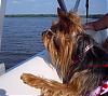 Lacy's Trip To The Lake!-lake-house-21-.jpg