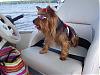 Lacy's Trip To The Lake!-lake-house-23-.jpg