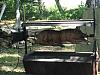 Our first (and LAST) Pigroast!-aug4.07-006.jpg
