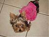 Izzy's Pink Sundress from Target!-izzysundress1.jpg