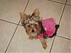 Izzy's Pink Sundress from Target!-izzysundress2.jpg