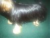 Omg I Shaved Daisy You Have To See!!-s4010040c.jpg