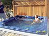 Moose swimming in Hot Tub!-picture-352-600-x-450-.jpg