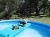 Today was very hot...so the hot go Swimming!!!-swimming1.jpg
