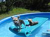Today was very hot...so the hot go Swimming!!!-swimming2.jpg