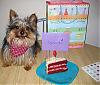 It's Kensington's BIRTHDAY!!!-kensington-6th-bday.jpg