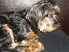 PICs of Rocky-dsc04505.jpg