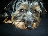 PICs of Rocky-dsc04509.jpg