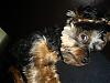 PICs of Rocky-dsc04512.jpg