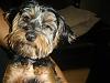 PICs of Rocky-dsc04513.jpg