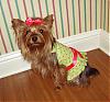 I made Lacy a Harness Dress-pinkgreen2.jpg