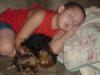 I just got the cutest picture of Koda with my Son.-kodapict-052.jpg