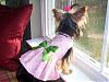 Fashion Show Time! Tinkerbellscloset and ChloeBella-picnic-plaid3.jpg