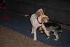 best friends-dsc_0070-medium-.jpg