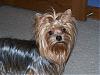 My Gang!-gidget-2.jpg