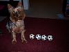 Simon, Hallie, A Monkey and Soccer Balls-100_1453.jpg.jpg