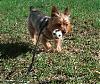 Simon Playing Soccer Outside!-100_1496.jpg.jpg