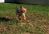 Simon Playing Soccer Outside!-100_1493.jpg.jpg