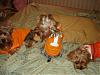 Lexie, Bear & Mac Getting Ready For The Game-lexie-140-600-x-450-.jpg